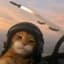 topguncat