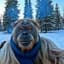 Snowie the Orangutan